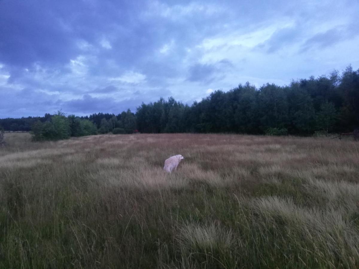Wsrod Pol I Lasow Dubicze Cerkiewne Extérieur photo